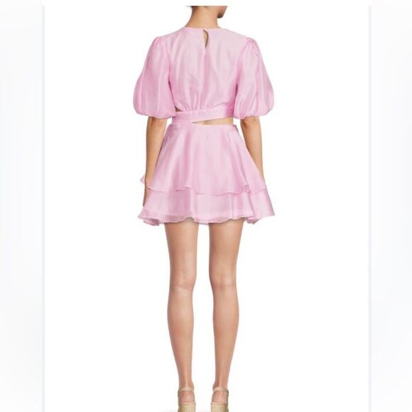 Bardot Enya Organza Mini Dress - Picture 2 of 6